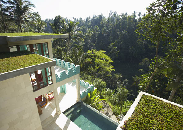 Absolutely Breathtaking Bali Jungle House