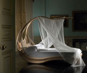 Unique Canopy Bed